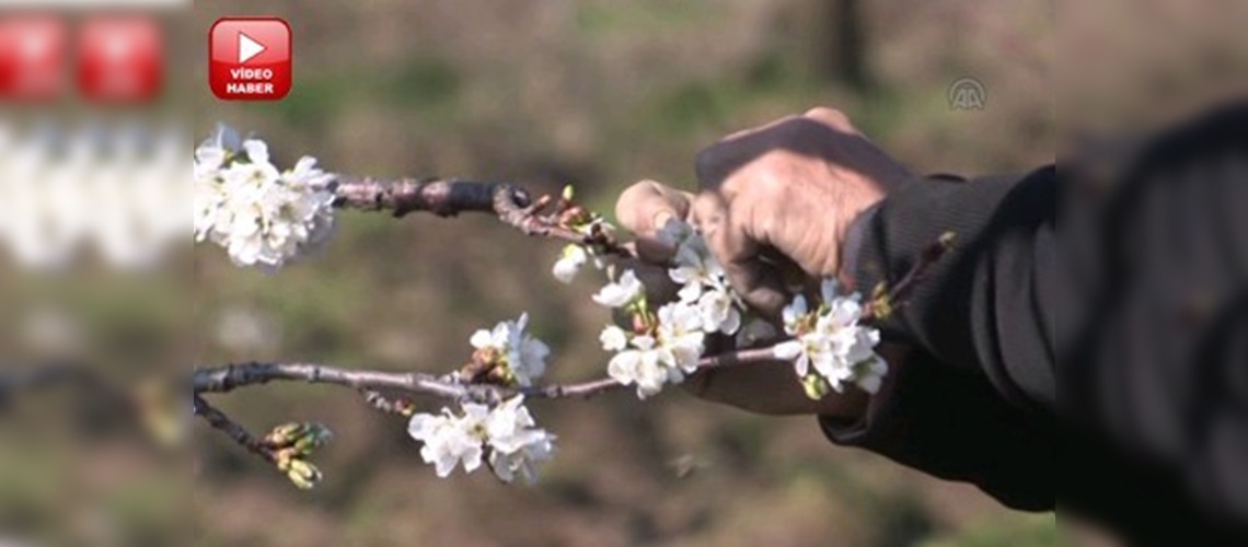 İzmir'de don uyarısı