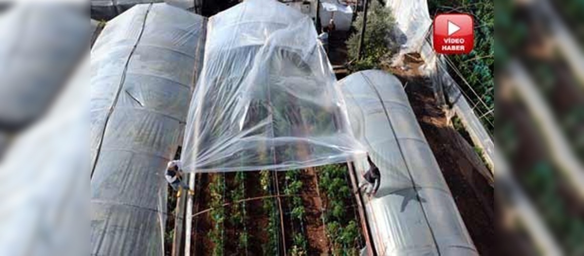 Hortum seralara zarar verdi 