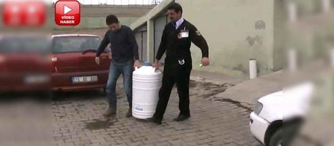 Ardahan'da suni tohumlama çalışmaları hızlandı