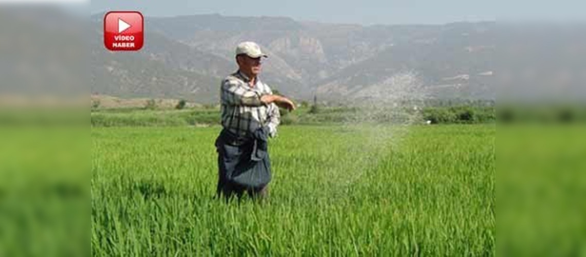 Çiftçiye 77 milyon liralık prim müjdesi