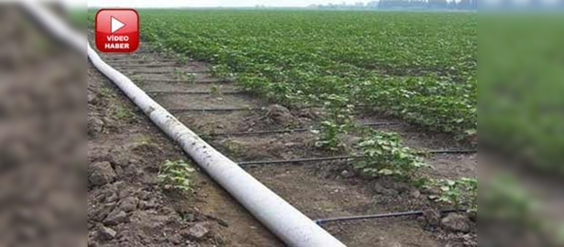 Damla sulama yapılmalı, israftan kaçınılmalı
