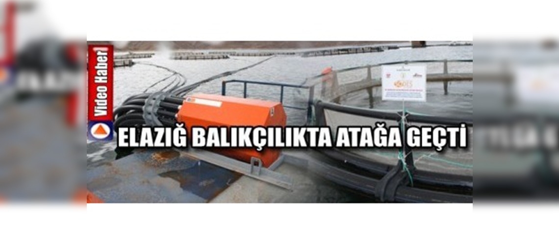 Elazığ Balıkçılıkta Atağa Geçti