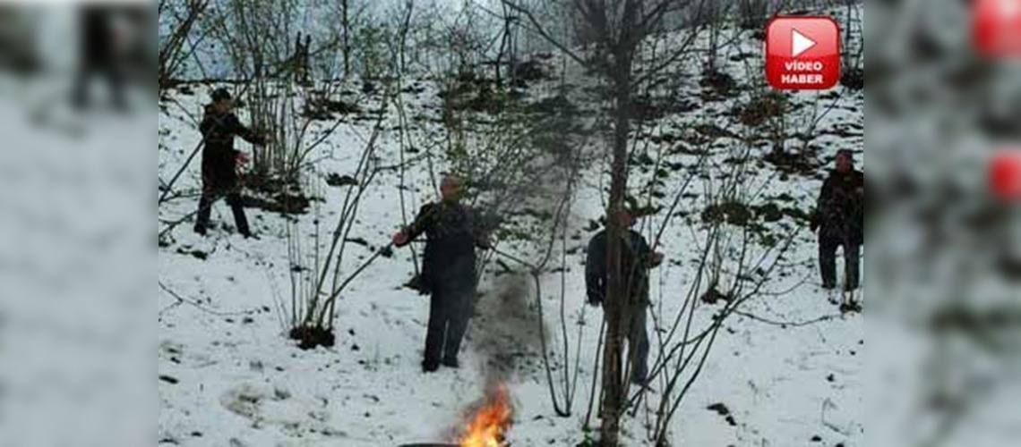 Çiftçilere don uyarısı
