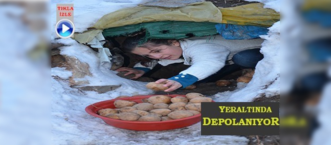 Yüksekovada patates yeraltında depolanıyor