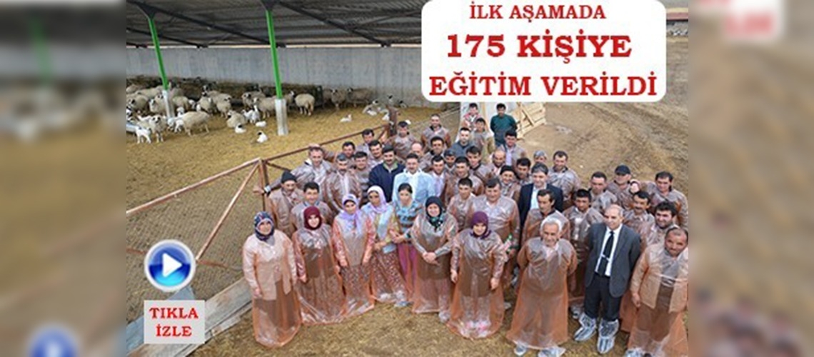 Amasyada Sürü Yönetimi Elemanı Yetiştiriciliği Kursu