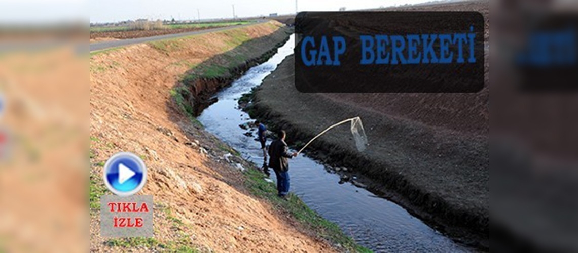 Harran Ovası'nda balık avı