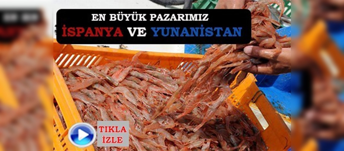 Karidese dış talep arttı