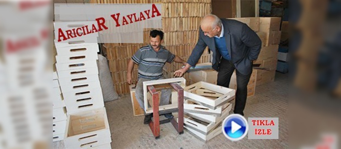 Arıcıların göç hazırlığı erken başladı 