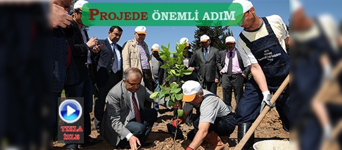 Turunçgilin üretim sezonu uzayacak