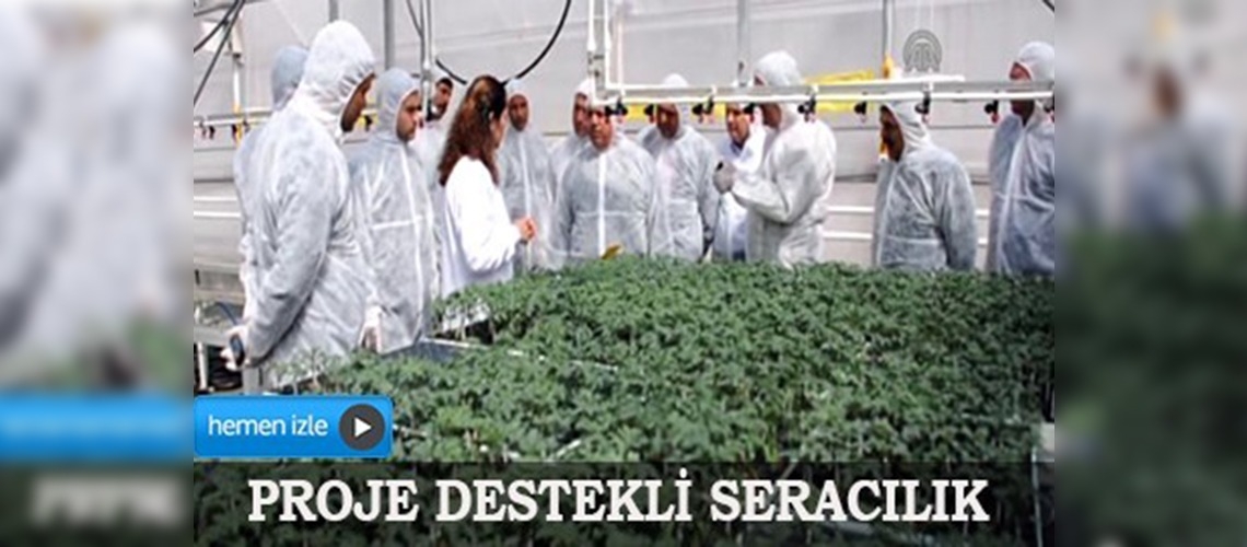 Çiftçiler Kumluca'da seraları inceledi