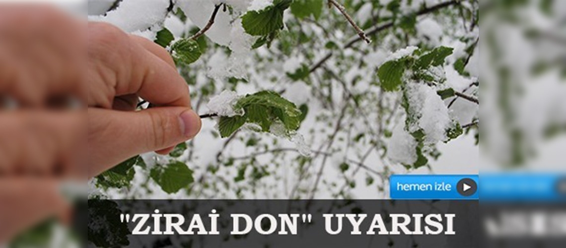 Fındık üreticilerine 