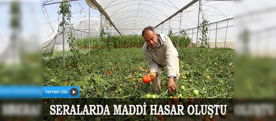 Silifkede fırtına seralara zarar verdi