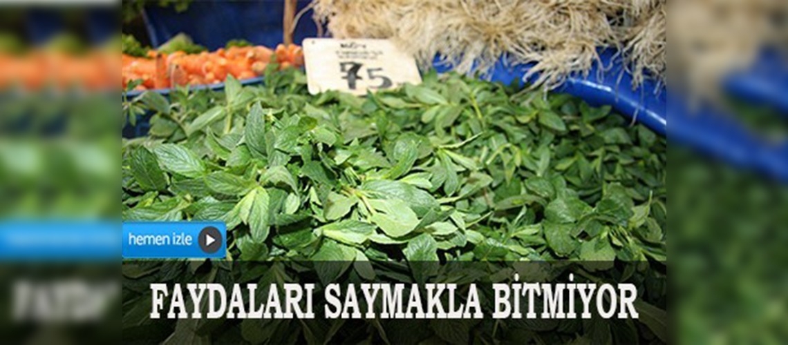 Bahar sebzeleri şifa deposu