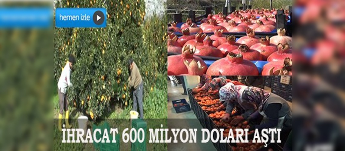 Yaş meyve ve sebze ihracatı 600 milyon doları aştı