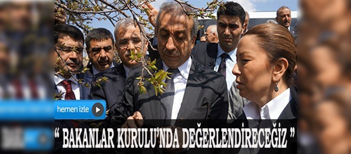 Bakanlık don olayını inceliyor