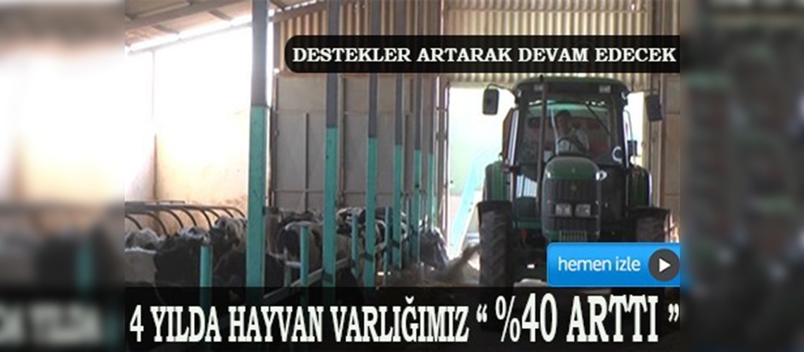 Destekler sayesinde hayvan varlığımız artıyor