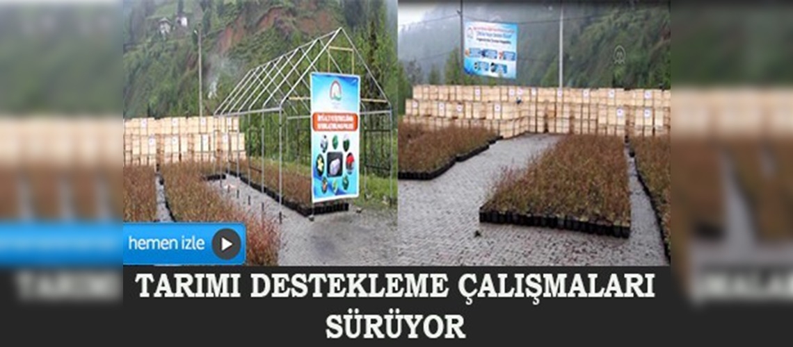 Rize'de tarımı destekleme çalışmaları sürüyor