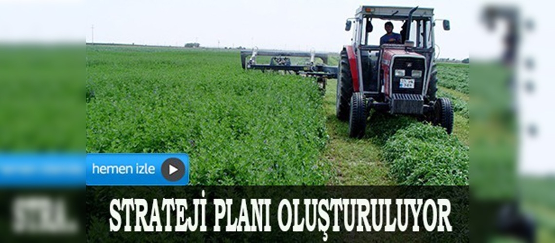 Aksarayın Tarım ve Kırsal Kalkınma Strateji Planı oluşturuluyor