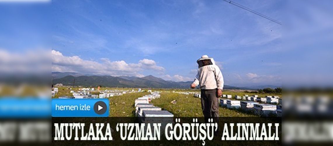 Bilinçsiz zirai ilaçlama, bal arılarını öldürüyor