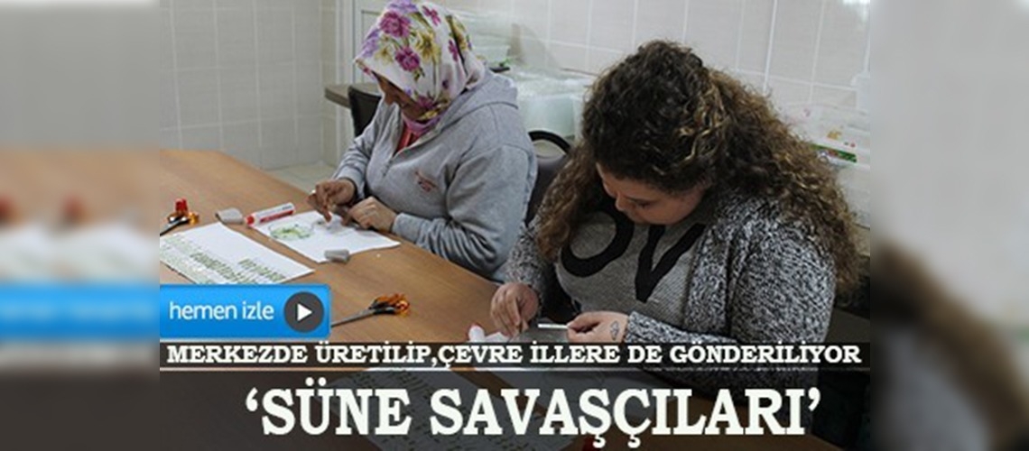 Süne mücadelesi bu yıl erken başladı