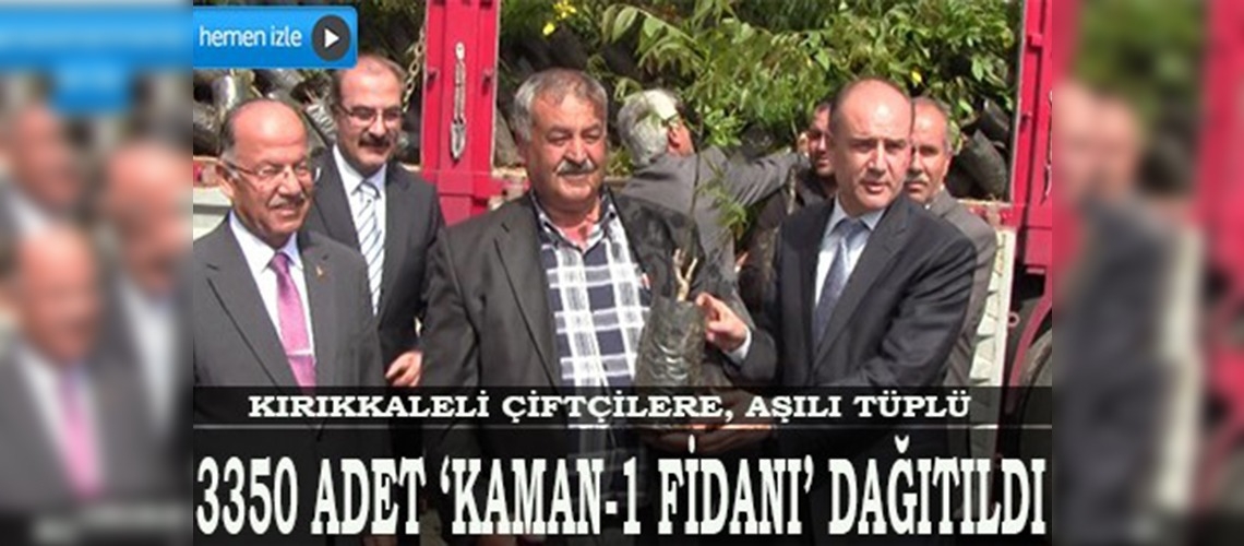 Kırıkkaleli çiftçilere Kaman-1 ceviz fidanı