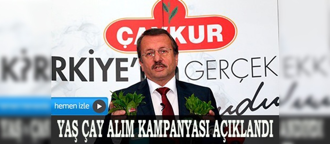 2014 yılı yaş çay alım kampanyası açıklandı