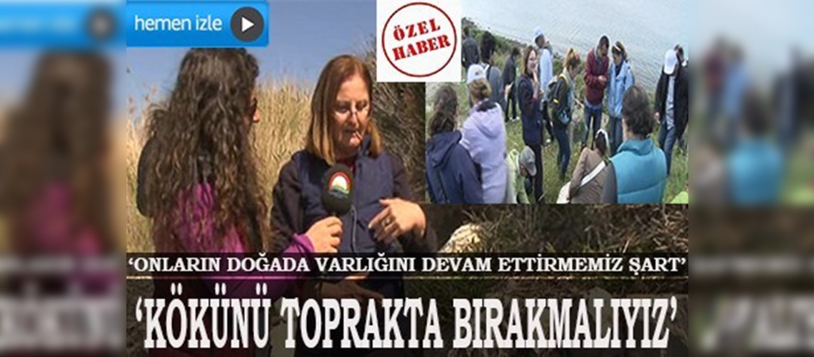 Yenebilen otları toplarken dikkat