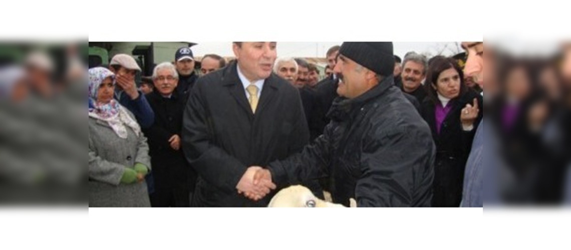 25 Üreticiye 25 Koç 500 Damızlık Koyun Dağıtıldı