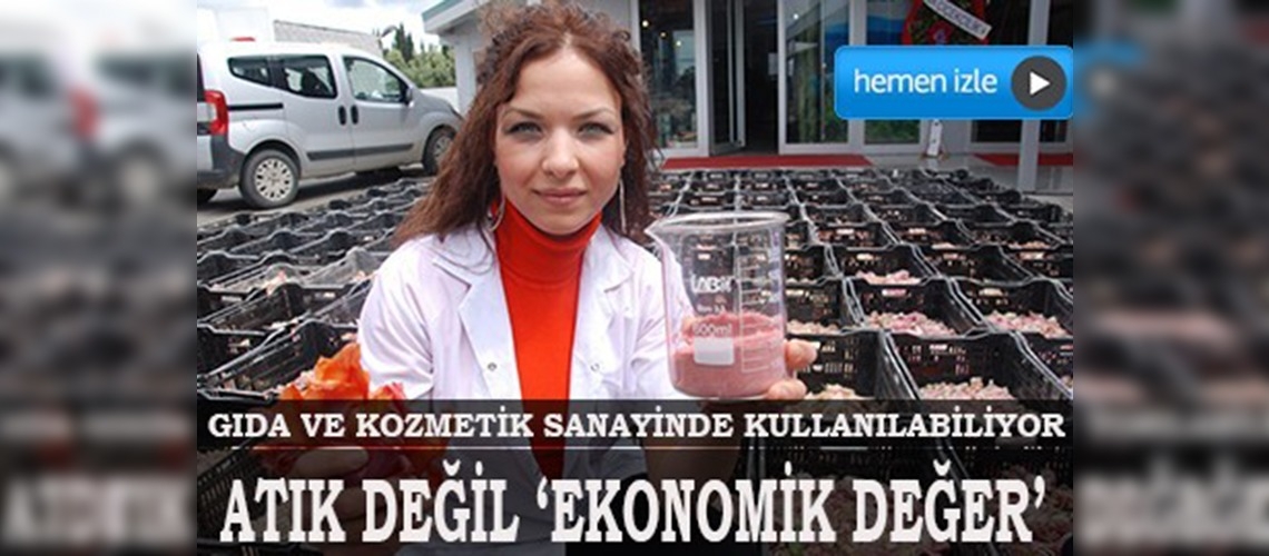 Atık lale yaprakları ekonomiye kazandırılıyor