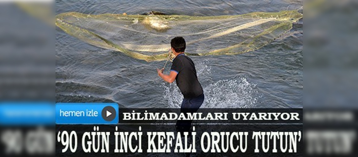 Bilim adamlarından inci kefali uyarısı