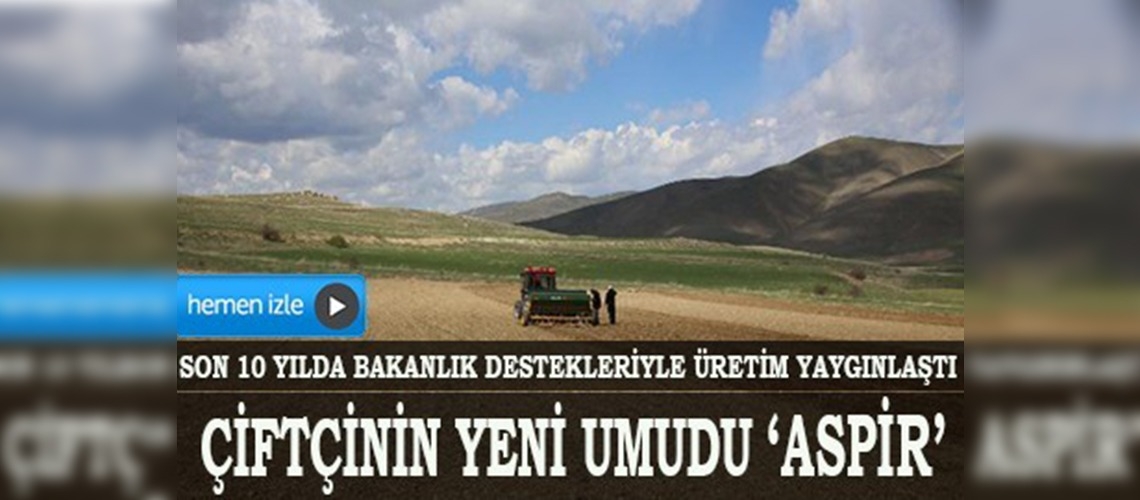 Aspir, çiftçilerin umudu oldu 