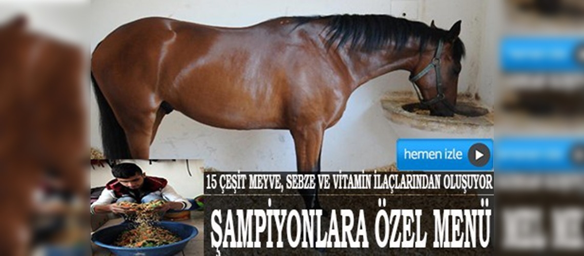 Şampiyon atlara özel menü 