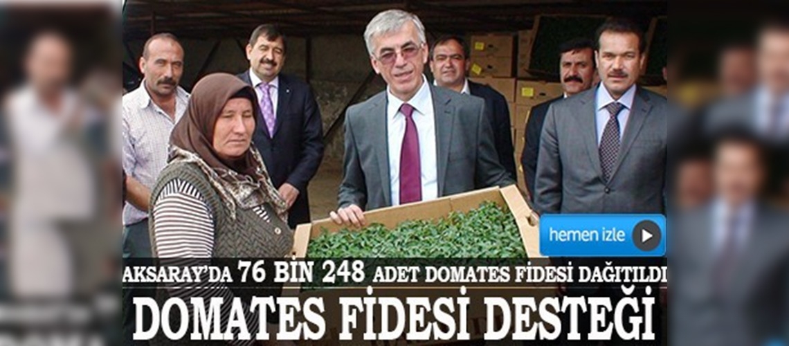 Aksaray'da domates fidesi desteği