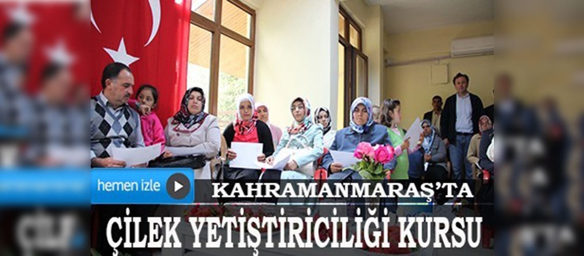 Kahramanmaraşta çilek yetiştiriciliği kursu