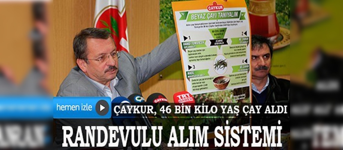 ÇAYKUR, 46 Bin Kilo yaş çay aldı