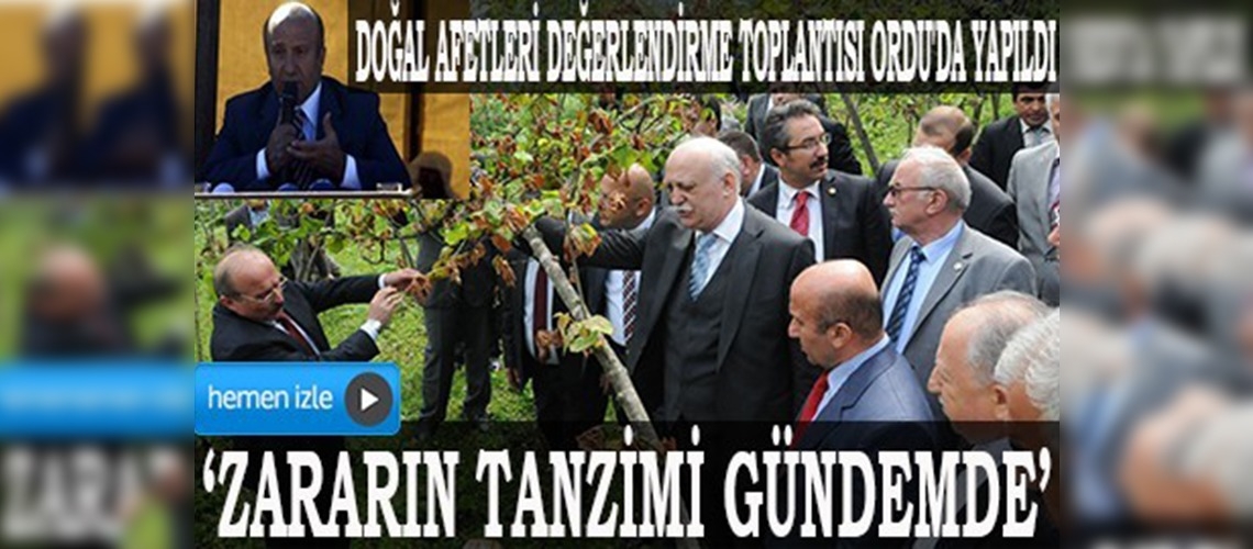 Arzu: Fındık üreticilerinin zararının tanzimi gündemde