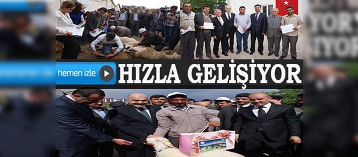Kırıkkalede küçükbaş hayvancılık hızla gelişiyor