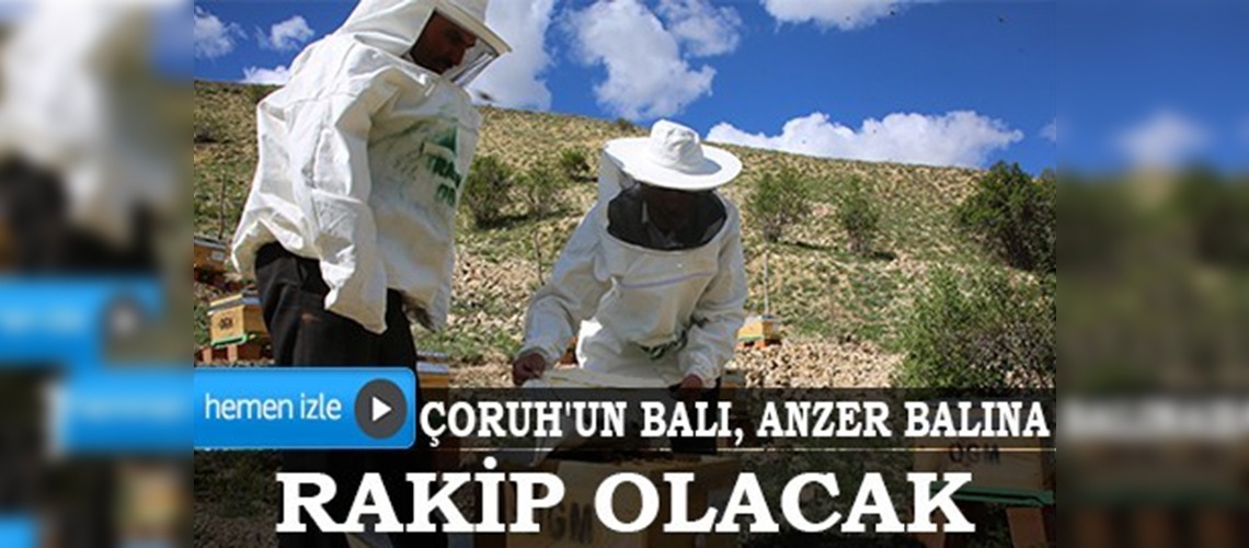 Çoruh'un balı, Anzer balına rakip olacak