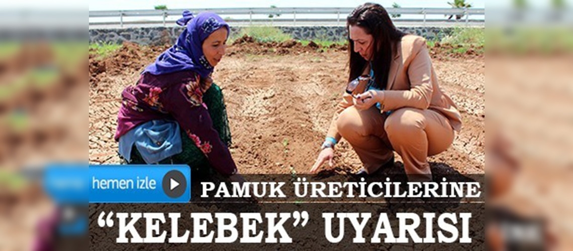 Pamuk, Türk ekonomisinin vazgeçilmezi