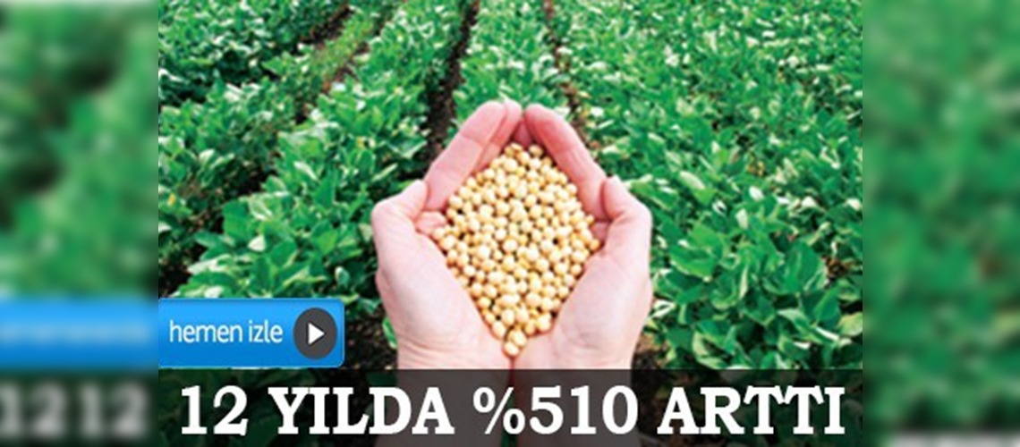 Tohum üretimi, 12 yılda yüzde 510 arttı