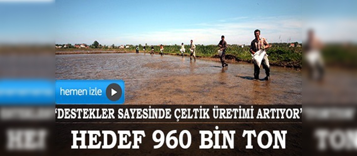 Çeltik üretiminde hedef 960 bin ton