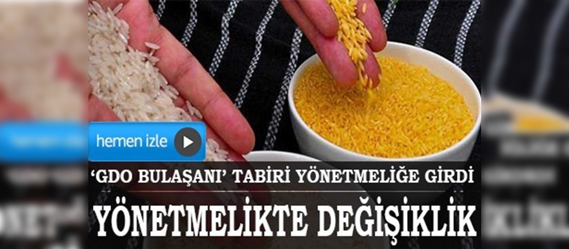 GDO yönetmeliğinde değişiklik