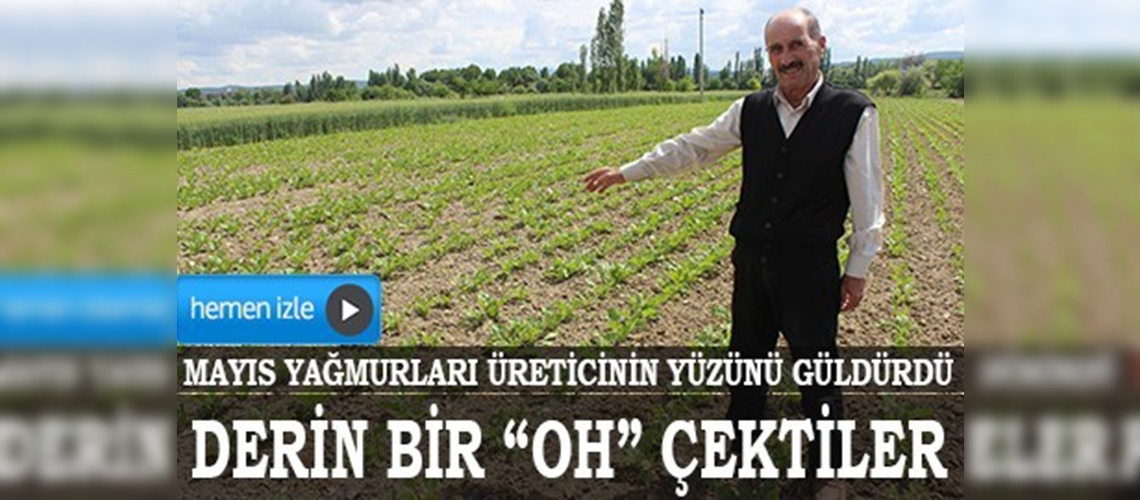 Mayıs yağmurları üreticinin yüzünü güldürdü