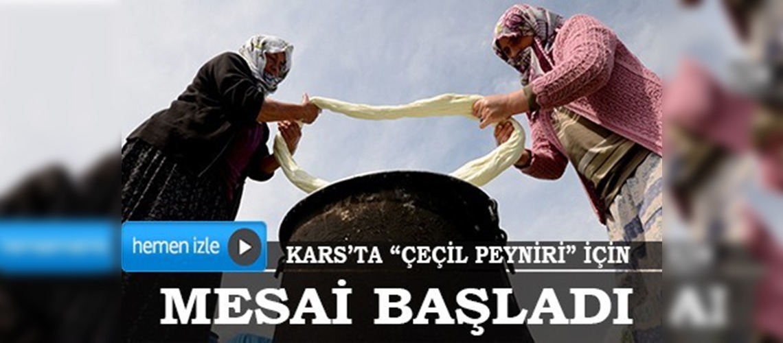 Kars'ta peynir mesaisi başladı