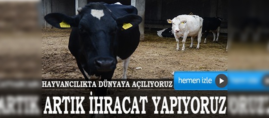 Türkiye, hayvancılıkta dünyaya açılıyor