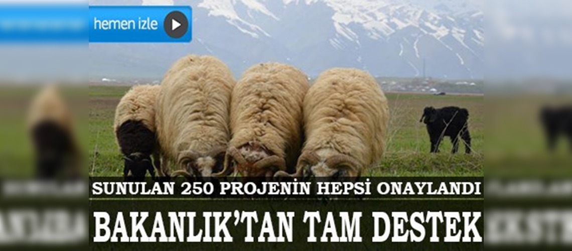 Hakkari'de huzur, tarım ve hayvancılığa yansıdı