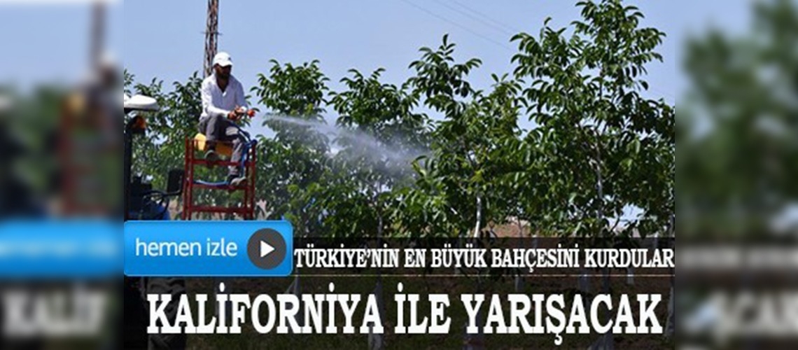 Adıyaman, cevizde Kaliforniya ile yarışacak	