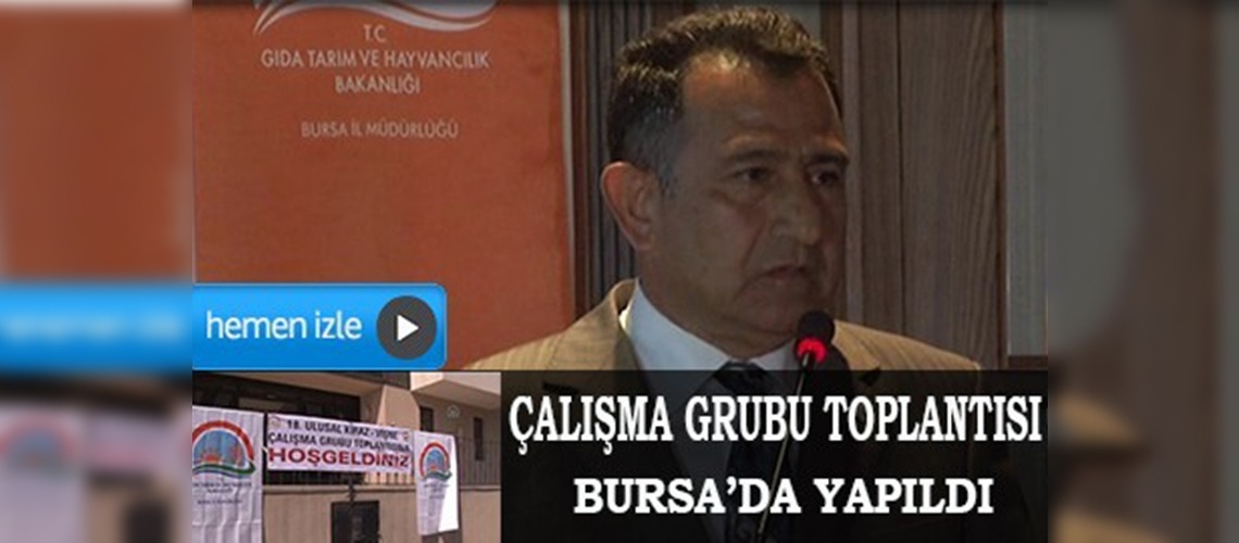 Bursada kiraz-vişne zirvesi