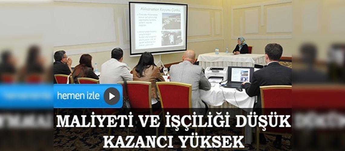 Akkaraman Koyun Çiftliği Projesiyle beşinci oldu