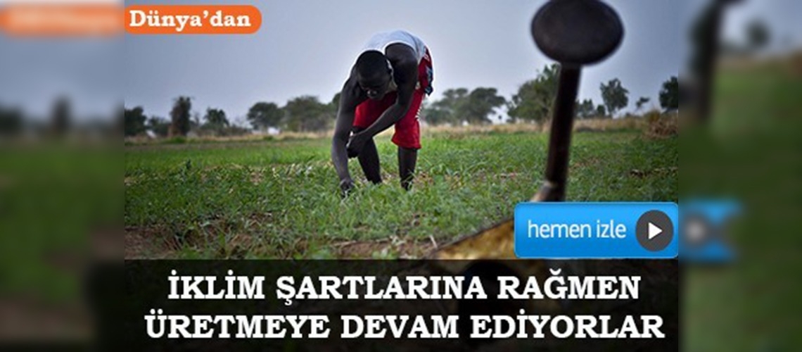 Çad'da insan gücüne dayalı tarım